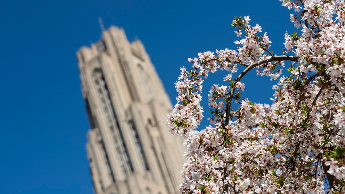 Cathedral in Spring