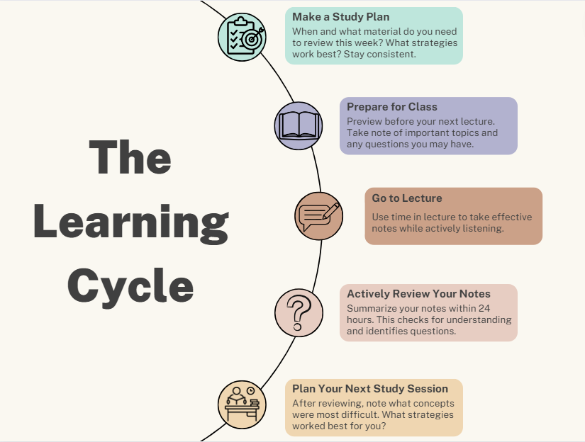 Diagram titled “The Learning Cycle” showing five icons and text boxes on a curved line.