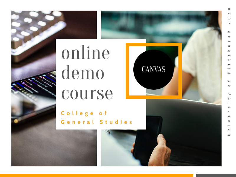 Cgs Online Demo Course College Of General Studies University Of Pittsburgh<script async src=
