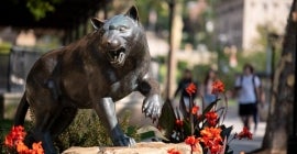 Pitt Panther Statues