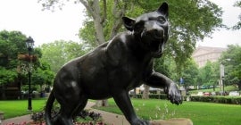 Pitt Panther